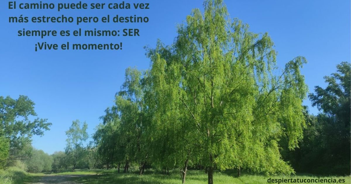 EXPANDE TU CONCIENCIA