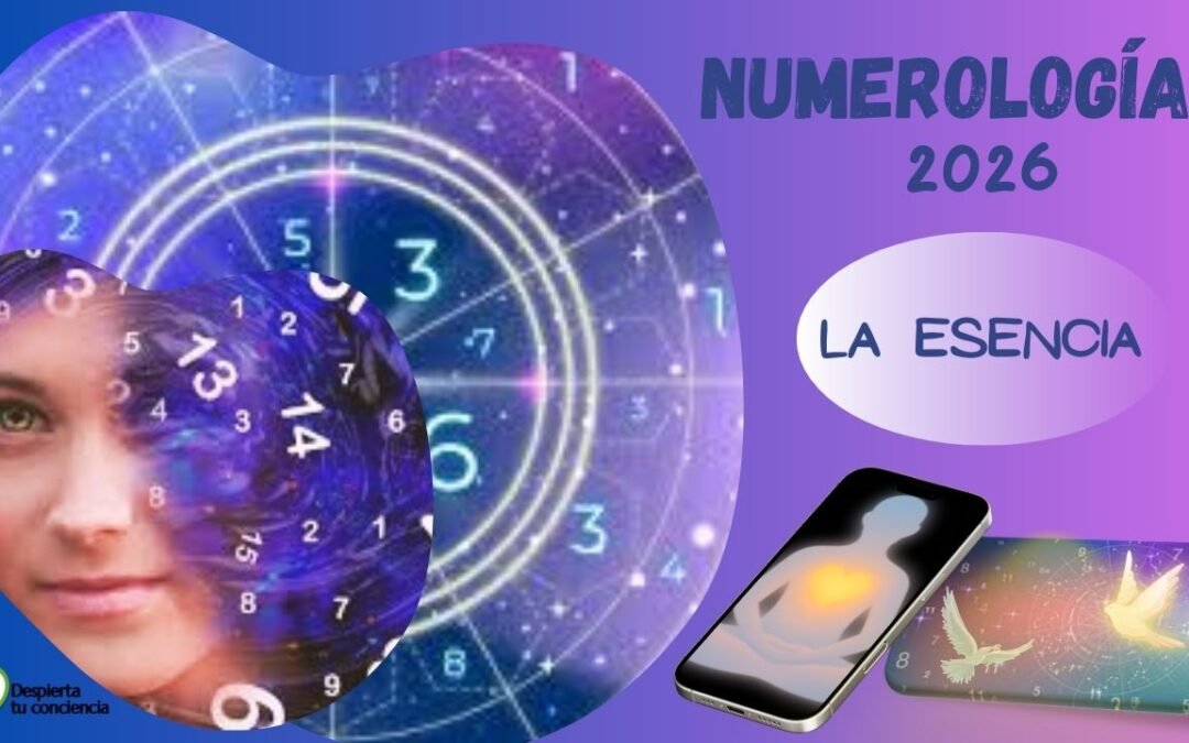 TALLER DE NUMEROLOGÍA